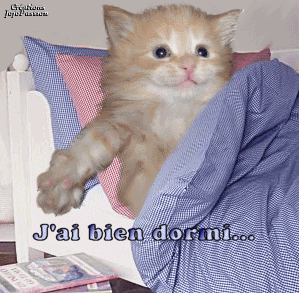 bien dormi.gif